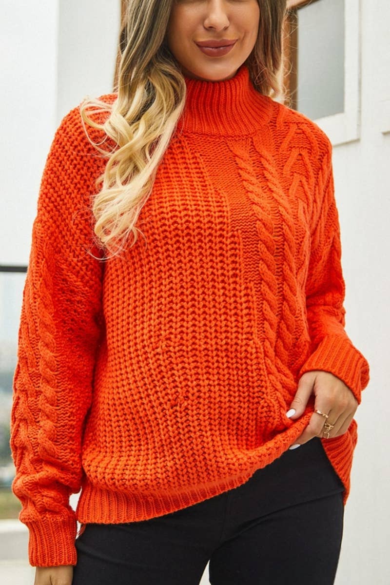 CWOSWL1035_Turtle Neck Long Sleeve Pullover Sweater