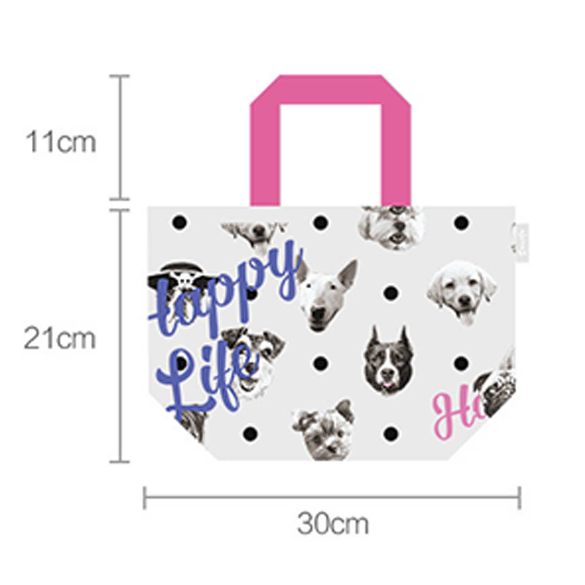 FASHIONABLE INSULATED LUNCH BAG_CWAB1858