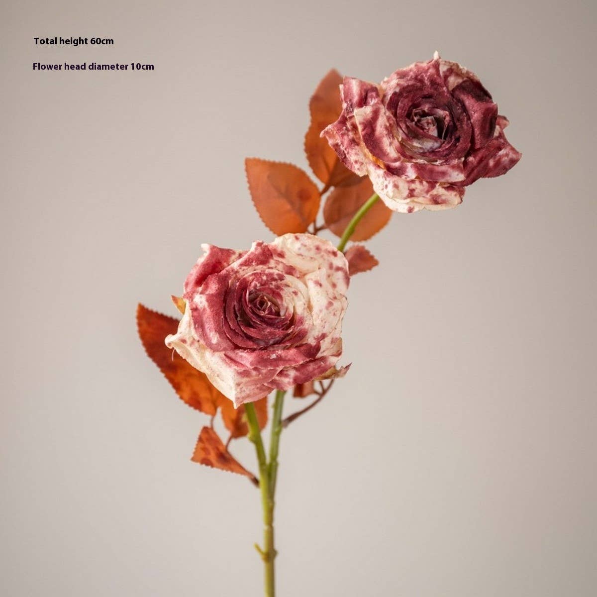 Dried Tone Burnt Edge Rose Bouquet for Decor