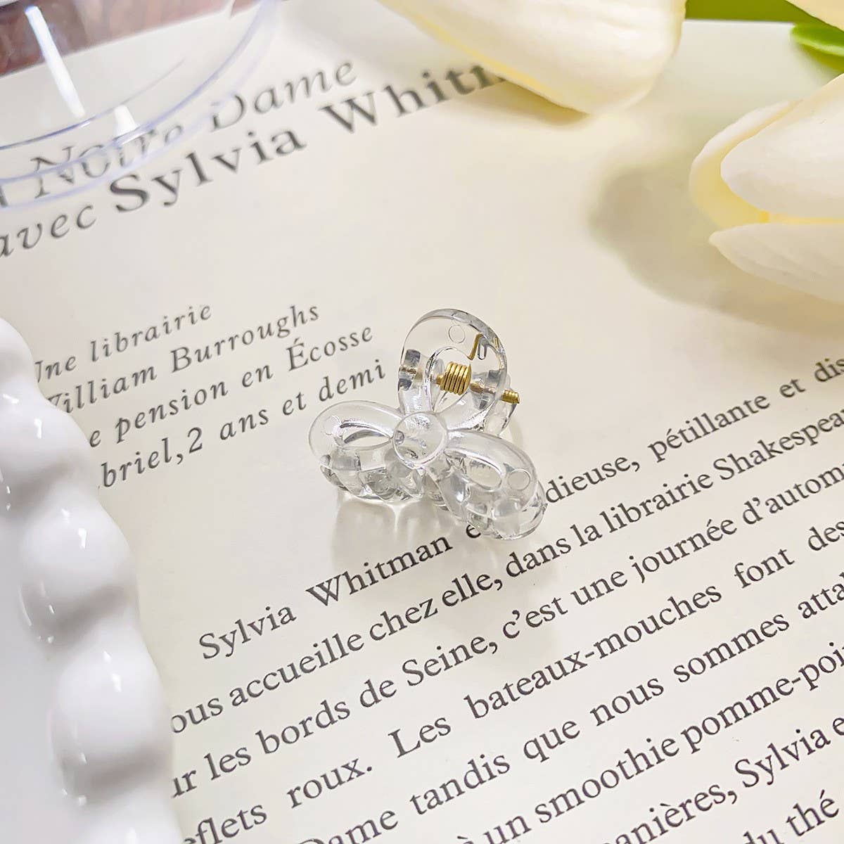 RAINBOW MINI TRANSPARENT GRIPPER CLAW CLIP_CWAHA0721