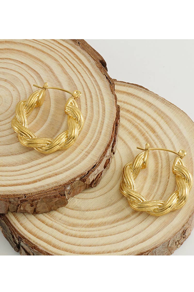 18K GOLD PLATED STAINLESS STEEL EARRINGS_CWAJE0375