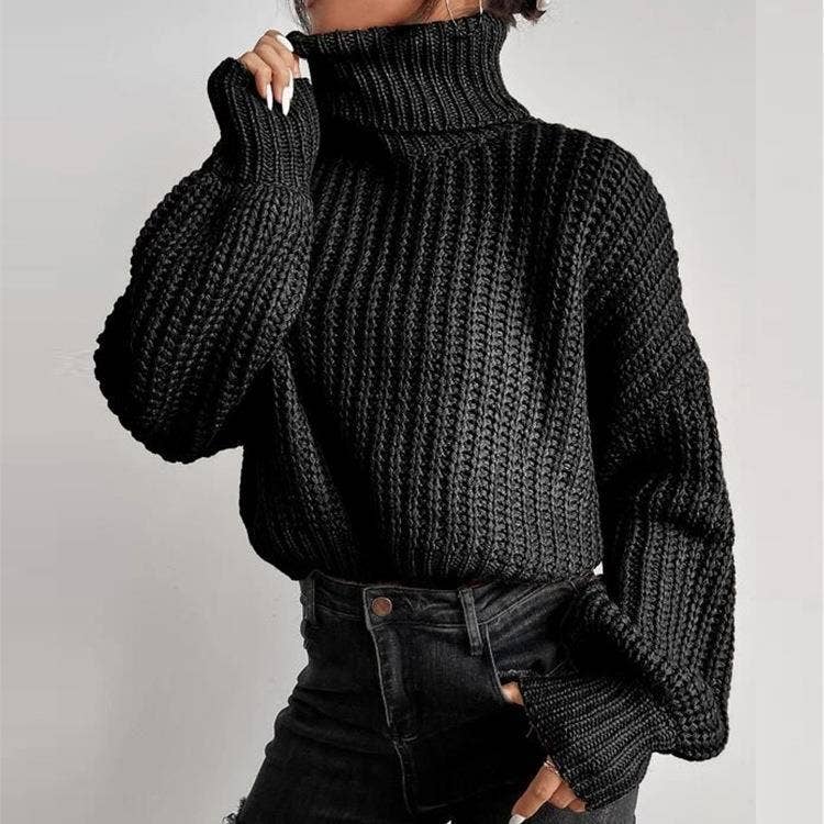 Long-Sleeved Pullover Turtleneck Sweater_Cwoswl3836