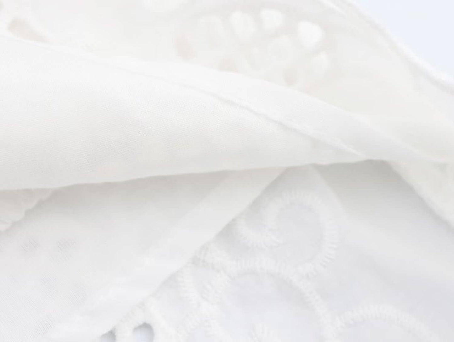 Fashionable and niche embroidered pleated shorts