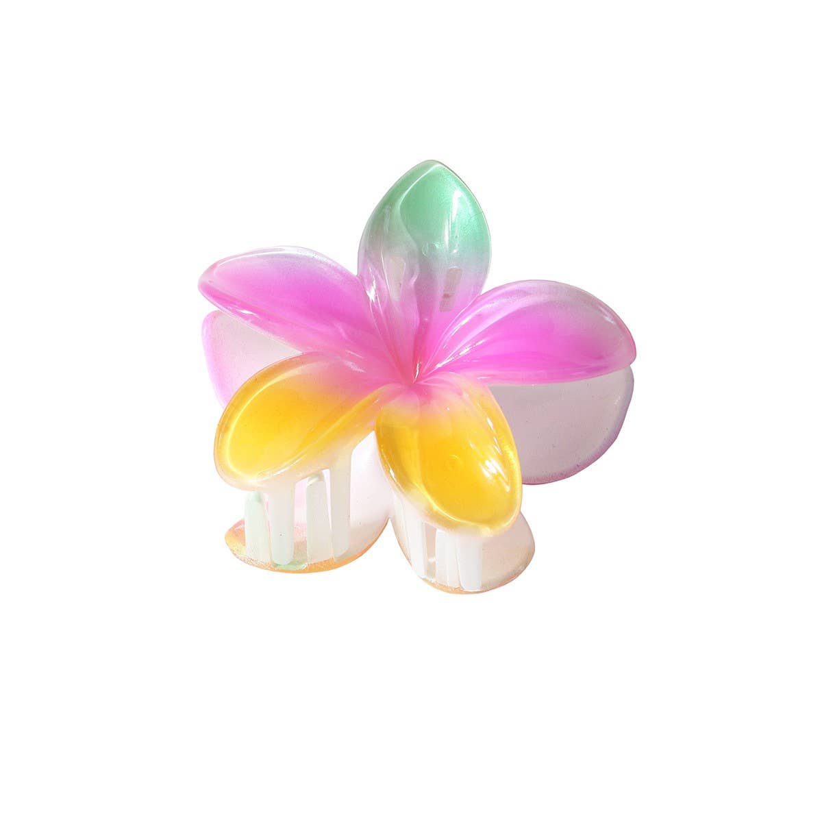 Pearl Gradient Large Egg Flower Hair Claw Clip_CWMM4984