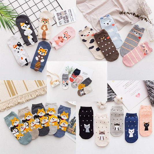 NEW STYLE CARTOON SHIN-CHAN COTTON WOMEN'S SOCKS_CWMS1397