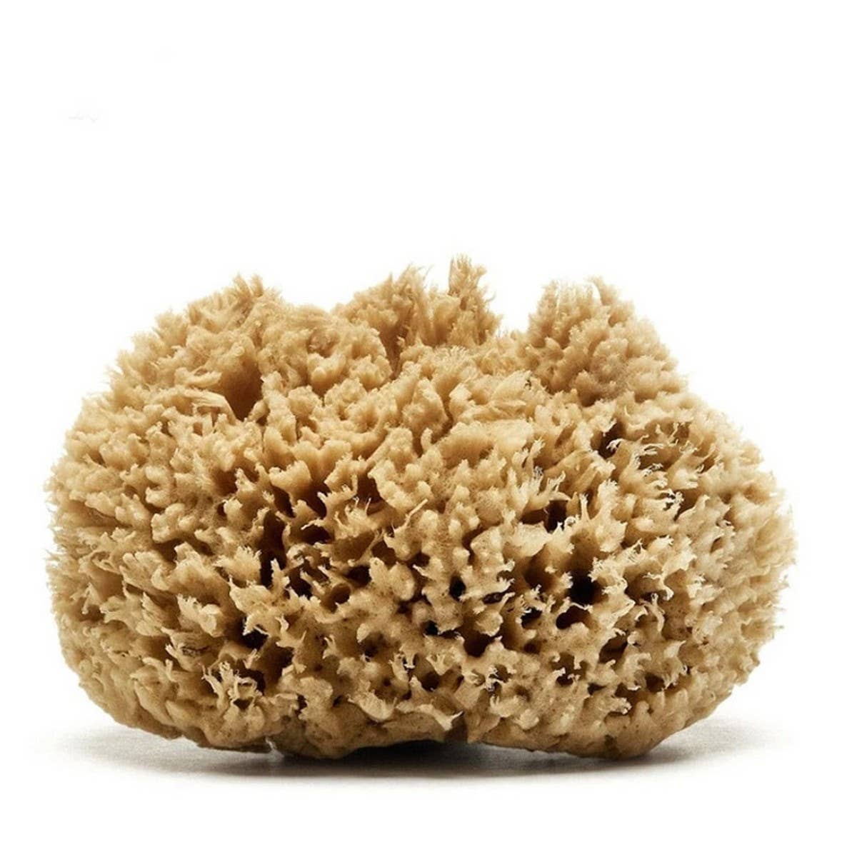 NATURAL WOOL SPONGE BATH SUPER SOFT BATH SPONGE