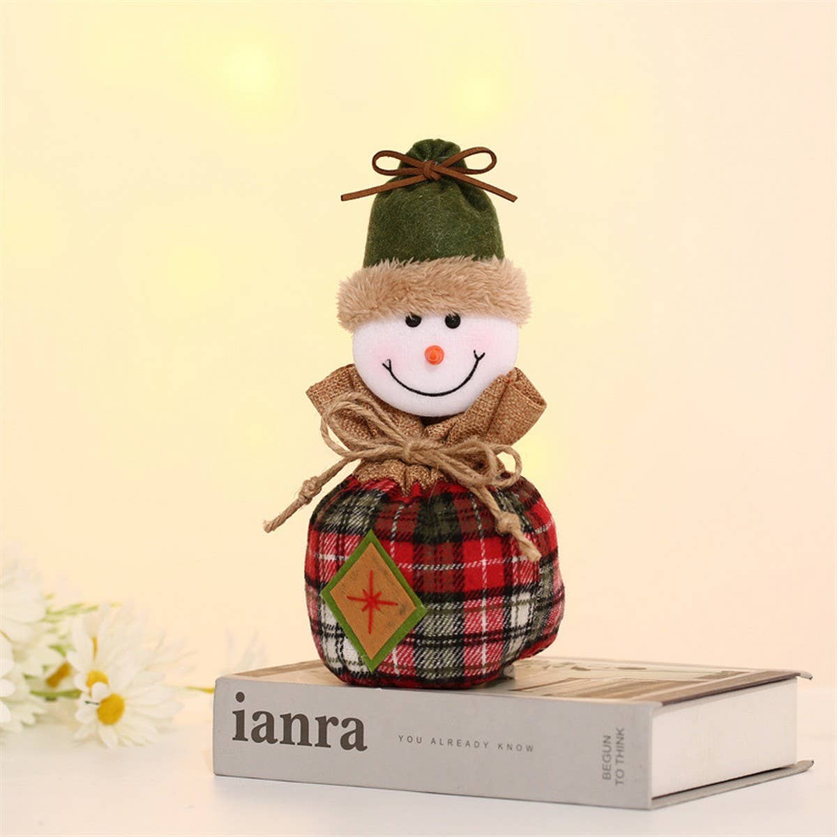 CHRISTMAS CARTOON APPLE BAG GIFT BAG