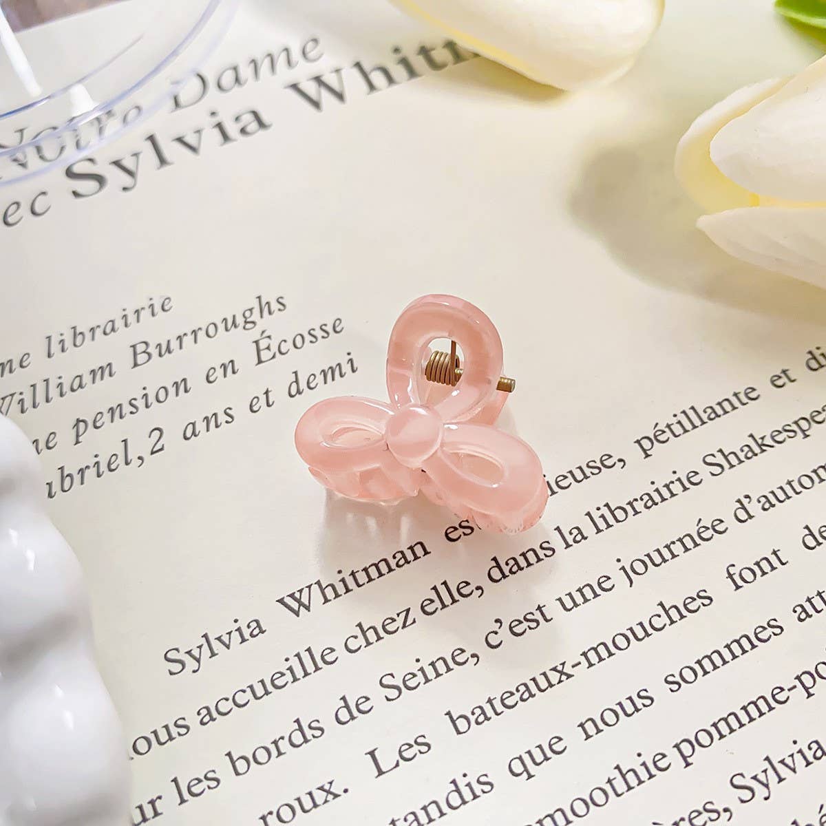 RAINBOW MINI TRANSPARENT GRIPPER CLAW CLIP_CWAHA0721