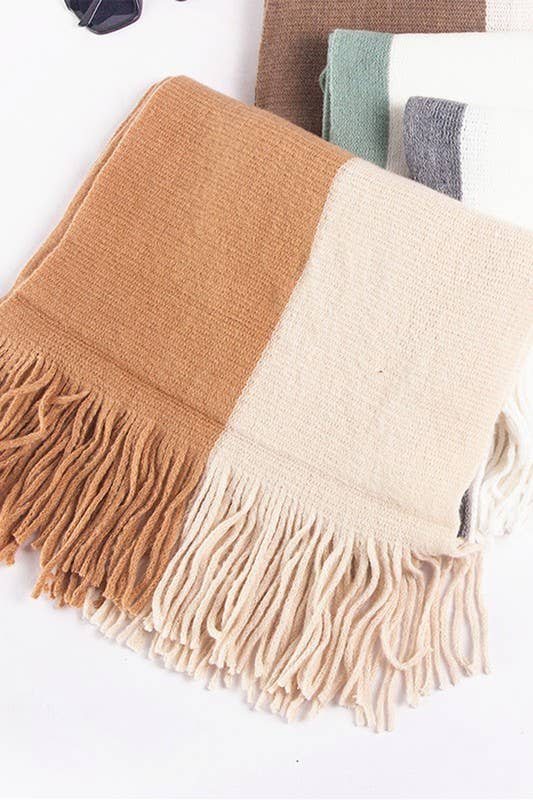 Colorblock Knit Scarf ? Long Fringe Winter Wrap