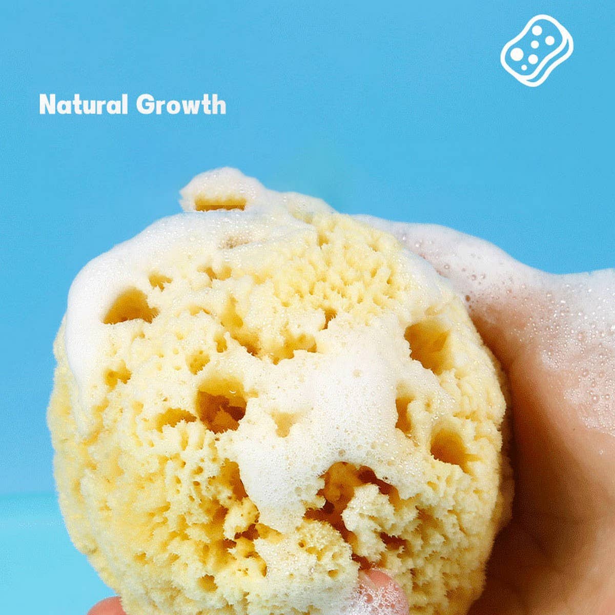 HARD HEAD EXFOLIATING NATURAL SPONGE VELVET SPONGE