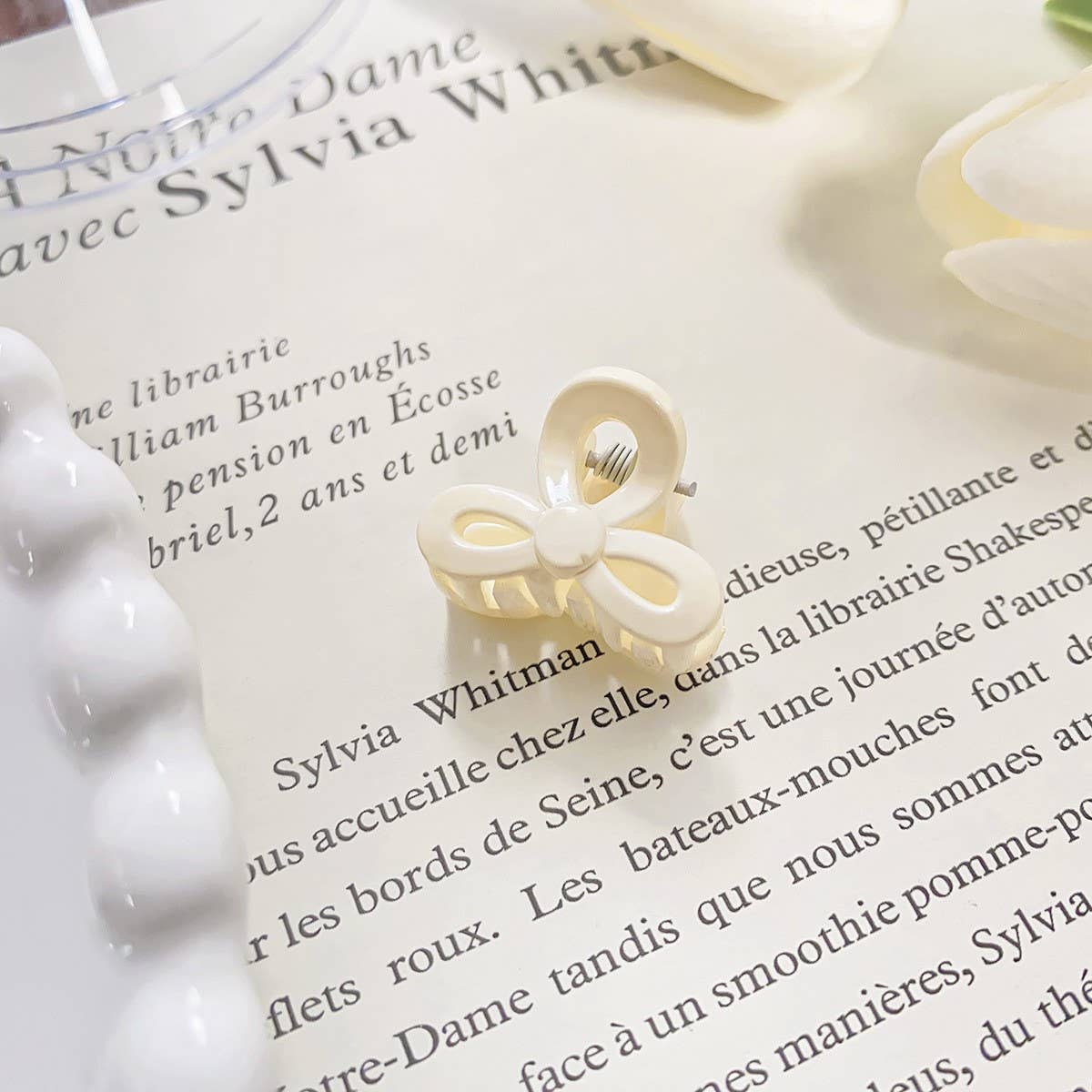 RAINBOW MINI TRANSPARENT GRIPPER CLAW CLIP_CWAHA0721