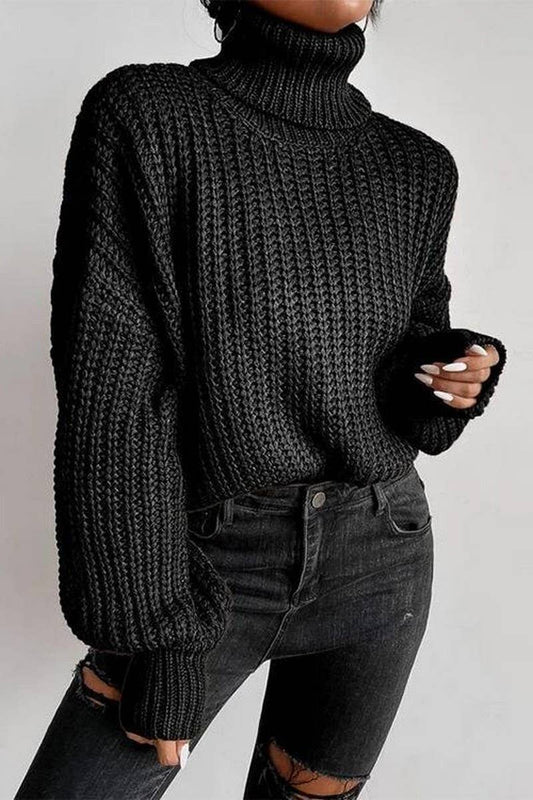 Long-Sleeved Pullover Turtleneck Sweater_Cwoswl3836