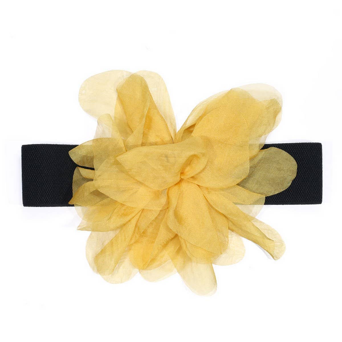 Elastic Stylish Waist Cincher Belt for Women