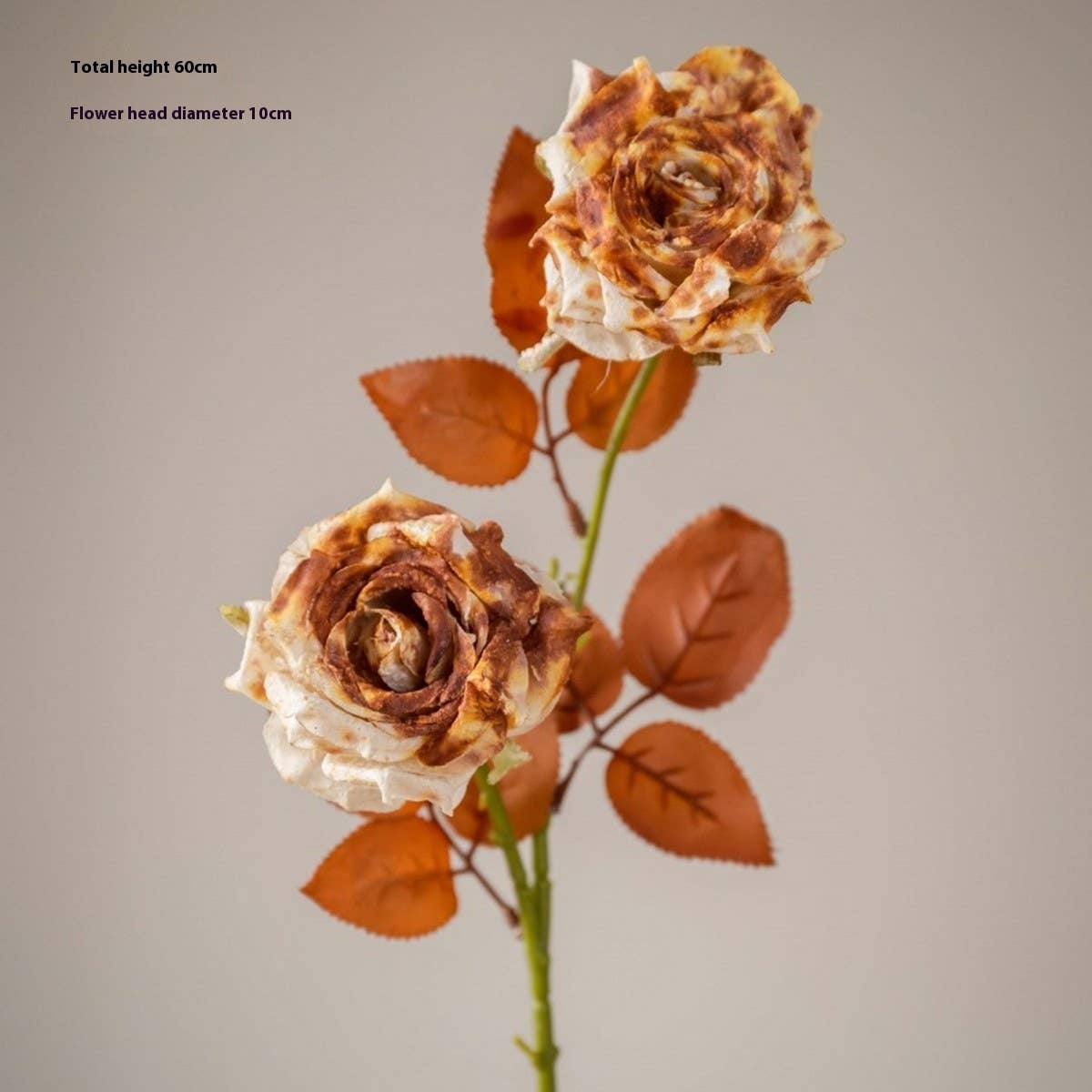 Dried Tone Burnt Edge Rose Bouquet for Decor