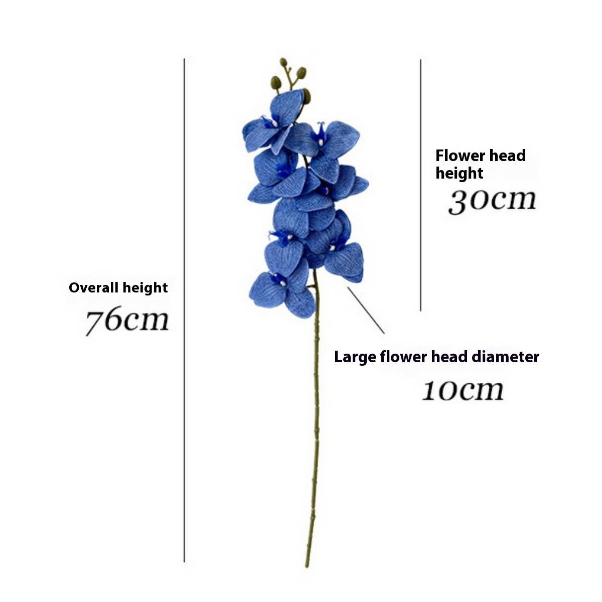 Moisture 7-Head Phalaenopsis Orchid Wedding Decor