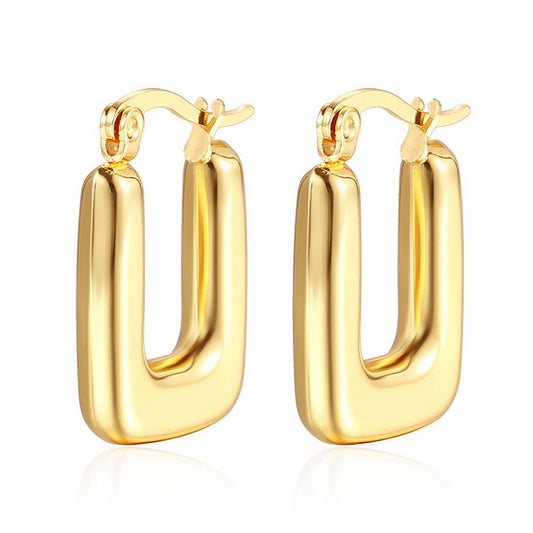 WOMEN LUXURY HYPOALLERGENIC THICK RING EARRINGS