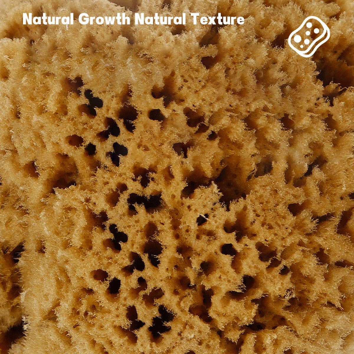 HARD HEAD EXFOLIATING NATURAL SPONGE VELVET SPONGE