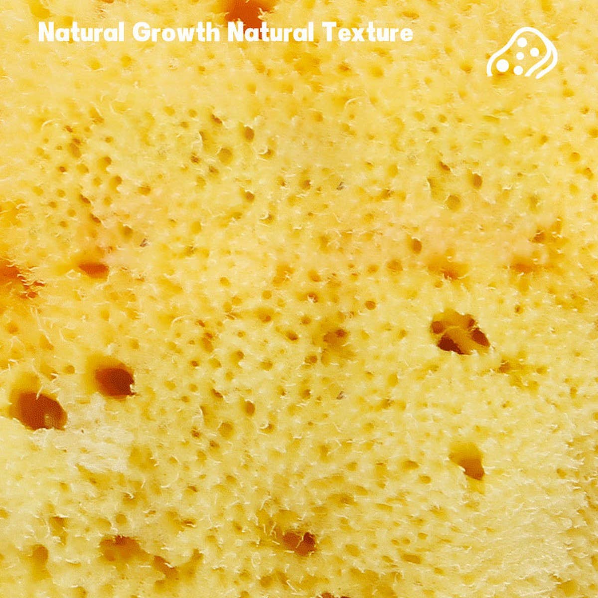 NATURAL COFFEE COLOR SPONGE HONEYCOMB SPONGE