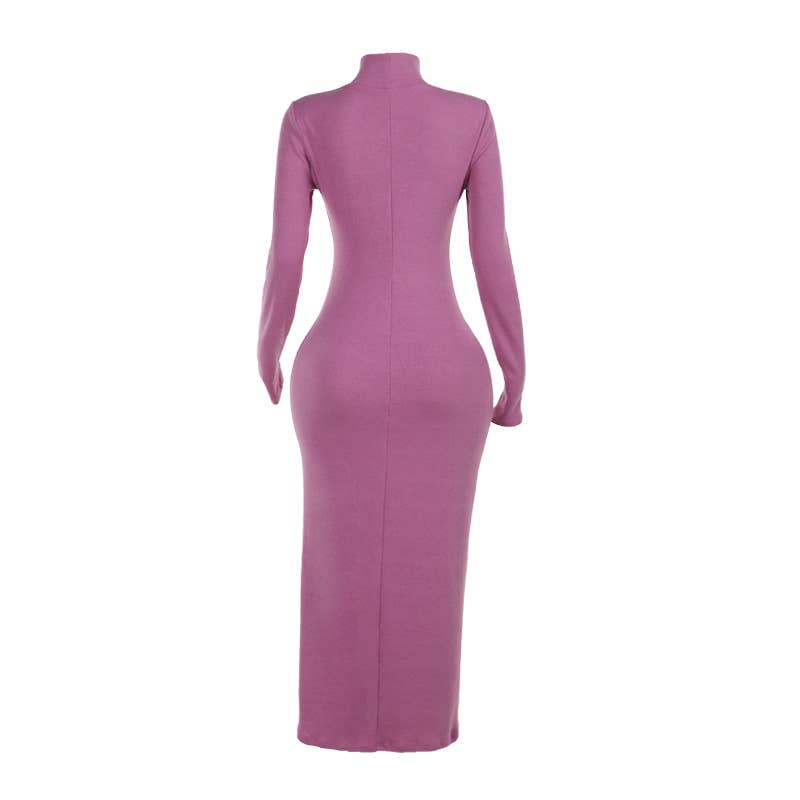 STYLISH ELEGANCE HIGH-NECK FIT LONG-SLEEVED DRESS