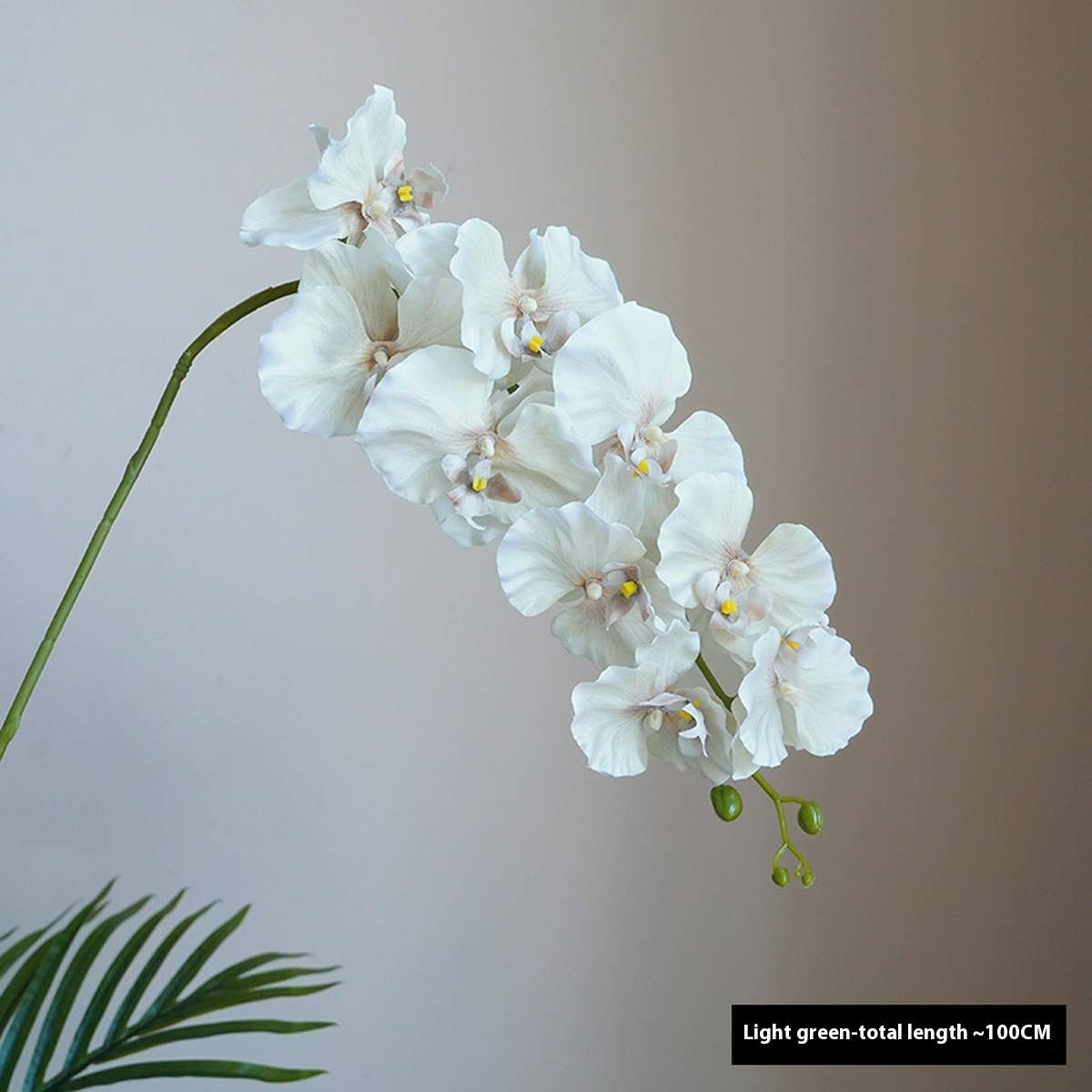 Premium Silk 9-Head Phalaenopsis Orchid Home Decor_CWMM6479