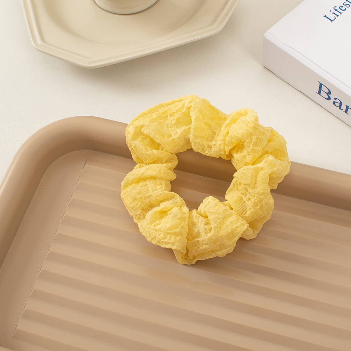 SCRUNCHIES ELASTIC HAIR BANDS_CWAHA1796