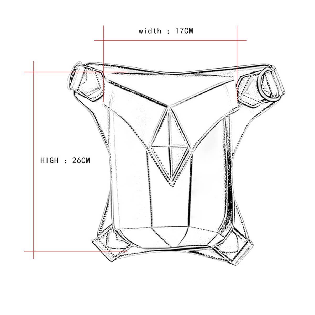 RETRO GOTHIC STEAMPUNK LEG BAG SHOULDER BAG PURSE_CWAB0648