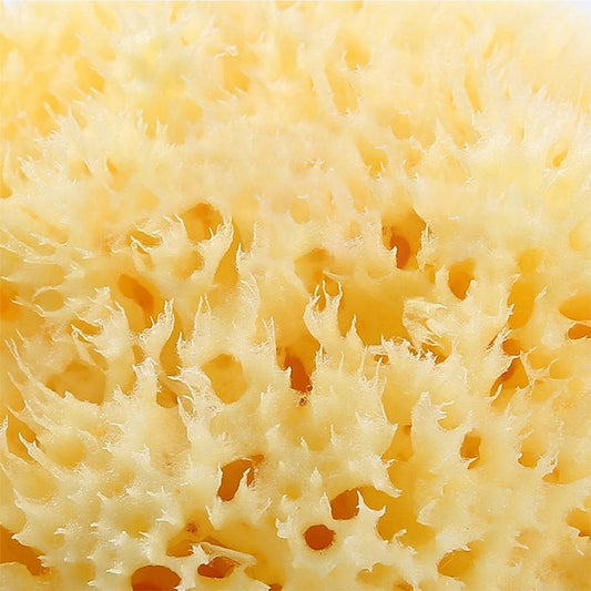 NATURAL SPONGE FOR WASHING FACE AND BATHING