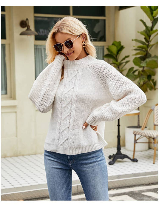 Half Turtleneck With Shoulder Sleeve Loose Knit