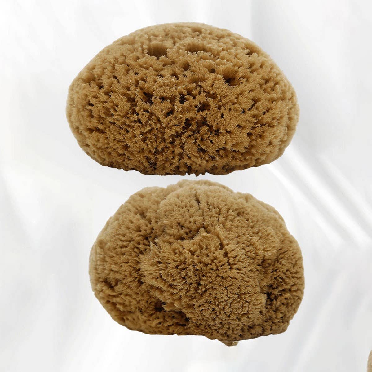 HARD HEAD EXFOLIATING NATURAL SPONGE VELVET SPONGE