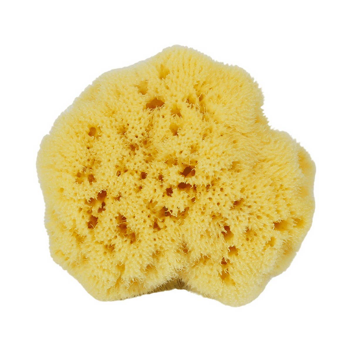 NATURAL COFFEE COLOR SPONGE HONEYCOMB SPONGE