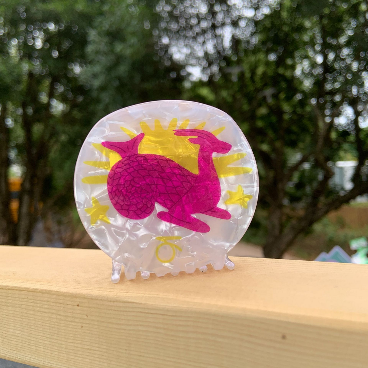 Star Sign Claw Clip ??Acrylic Cute Hair Accessor_CWAHA2141