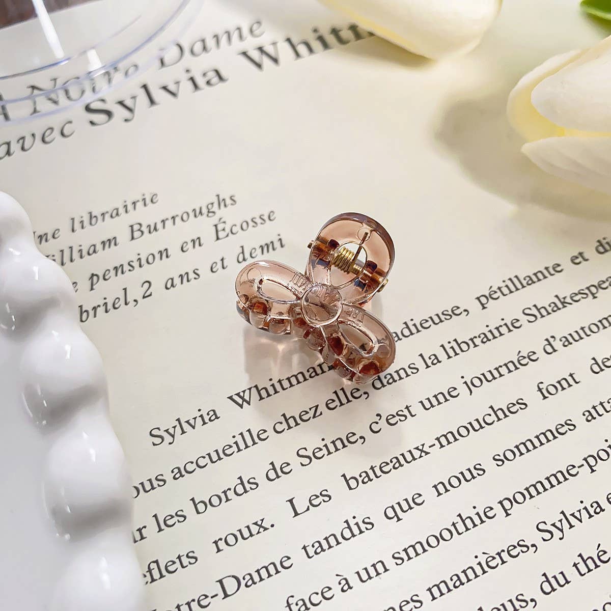 RAINBOW MINI TRANSPARENT GRIPPER CLAW CLIP_CWAHA0721