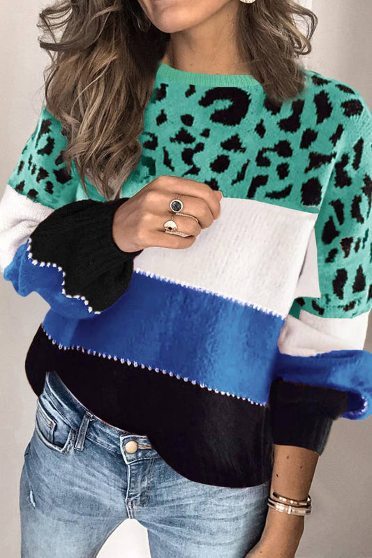 Cwoswl3154_Leopard Print Crew Neck Pullover Sweater