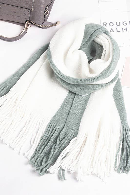 Colorblock Knit Scarf ? Long Fringe Winter Wrap