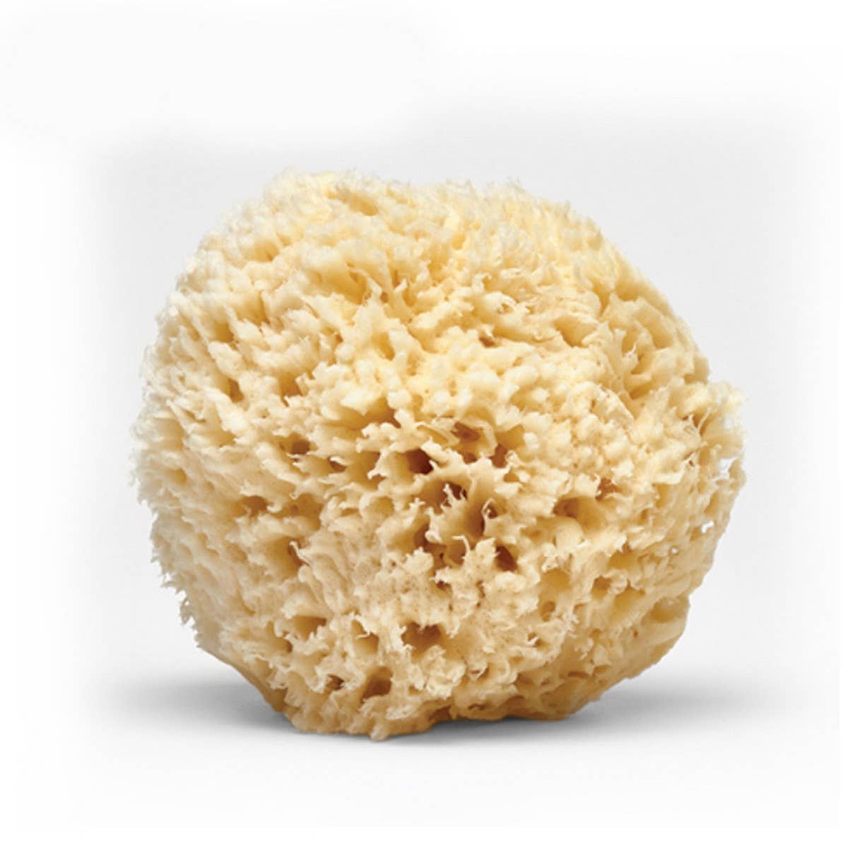 NATURAL WOOL SPONGE BATH SUPER SOFT BATH SPONGE