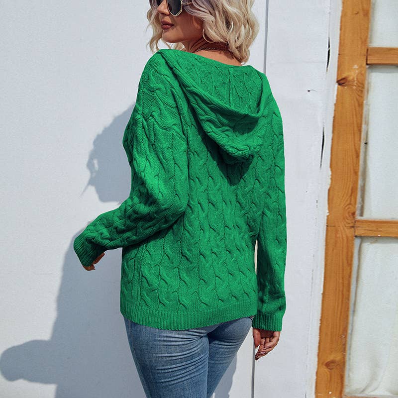 Solid Color V-Neck Hooded Vintage Twist Sweater