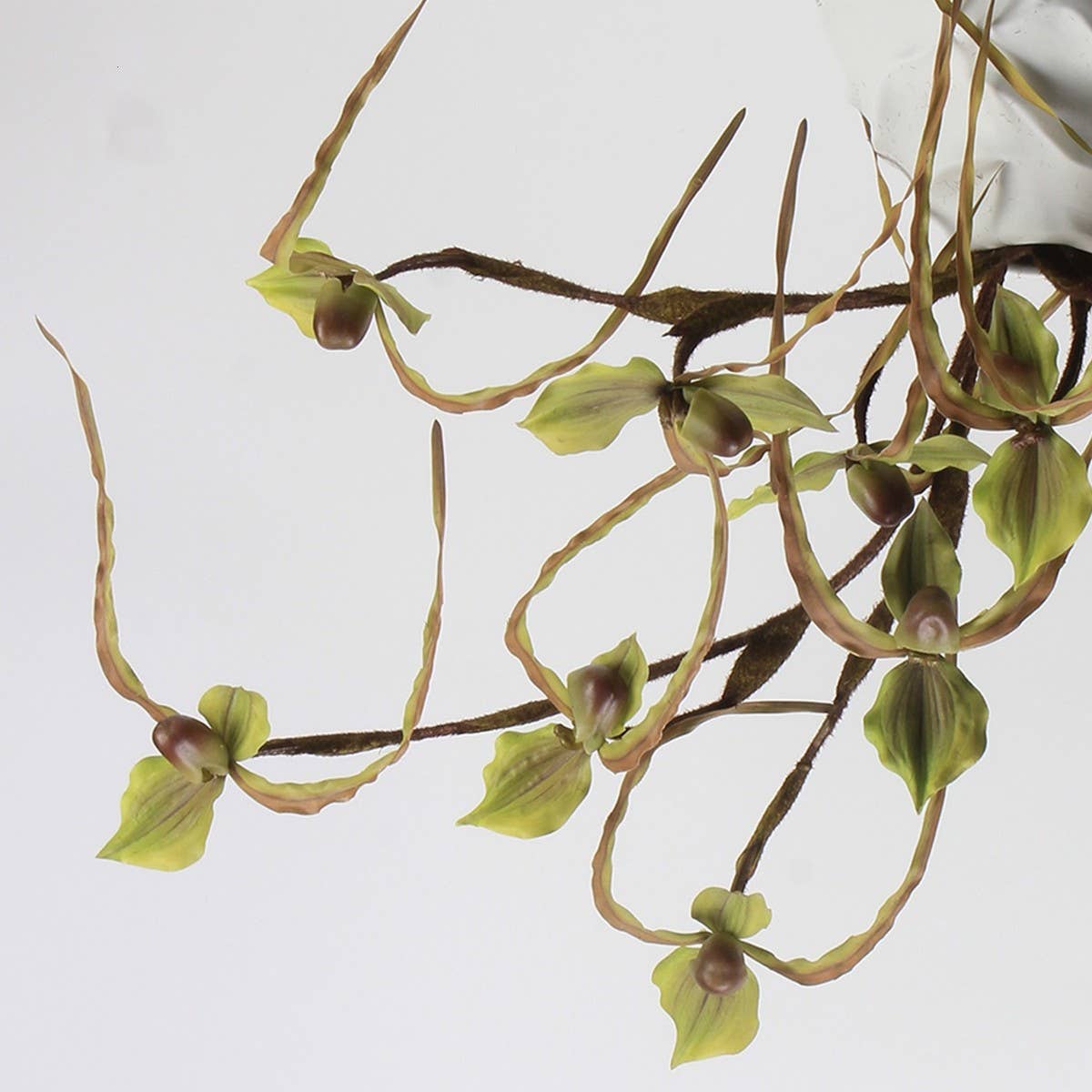 Artificial 3-Head Leafless Slipper Orchid Stem_CWMM6519