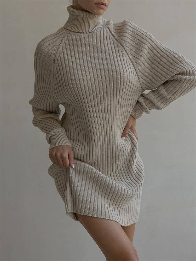 PIT STRIP SOLID COLOR TURTLENECK SWEATER DRESS