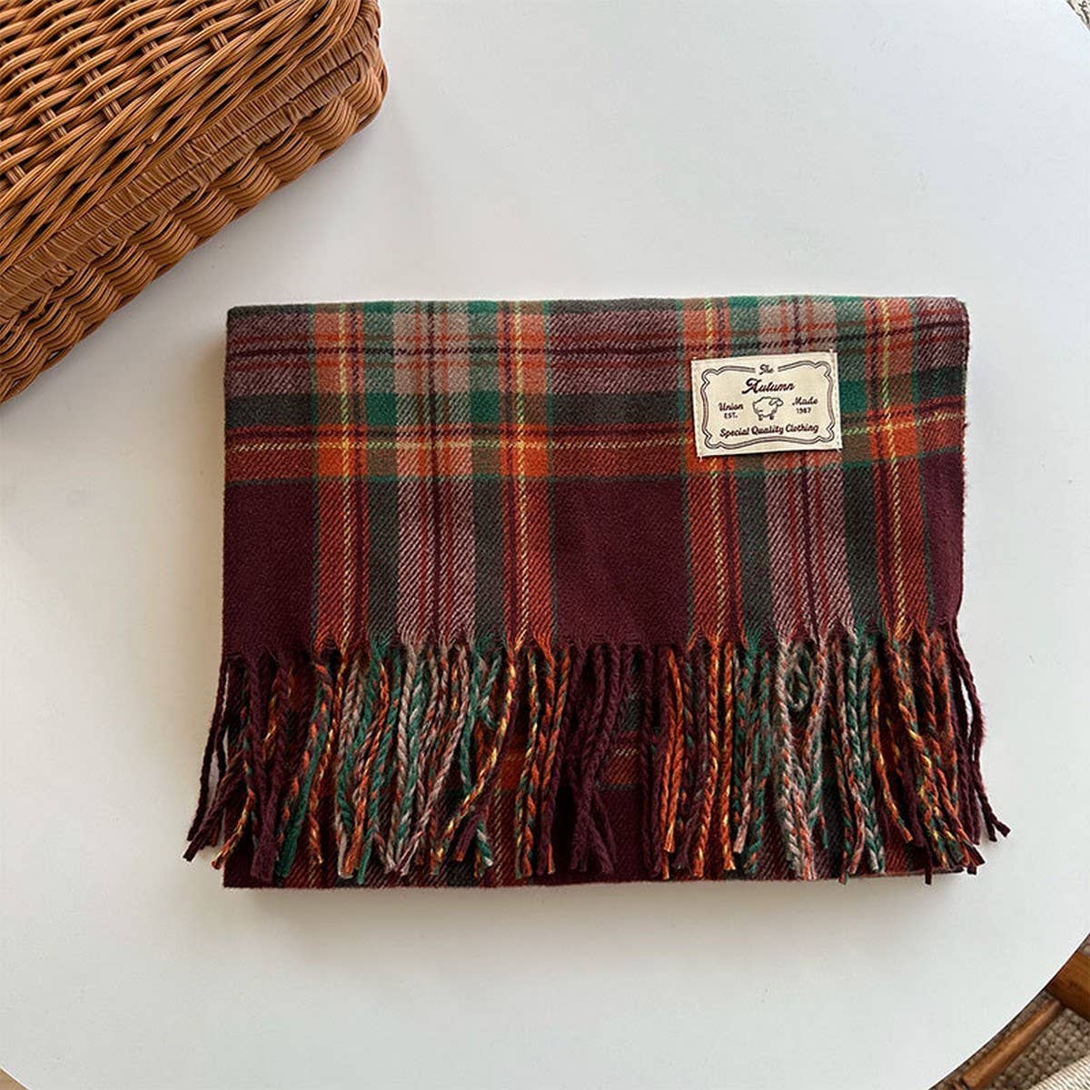 Plaid Colorblock Scarf - Classic Winter Wrap_CWASC2347