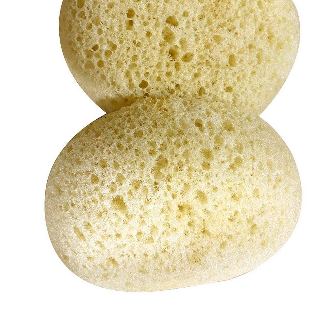 LARGE POROUS SEAWEED BATH SPONGE