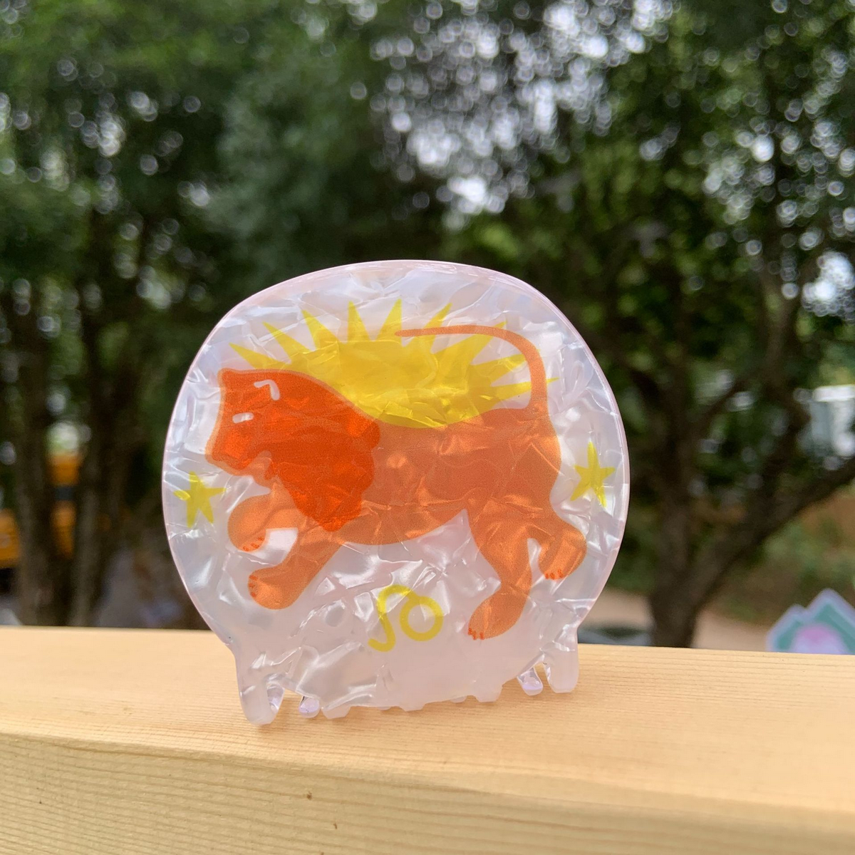 Star Sign Claw Clip ??Acrylic Cute Hair Accessor_CWAHA2141