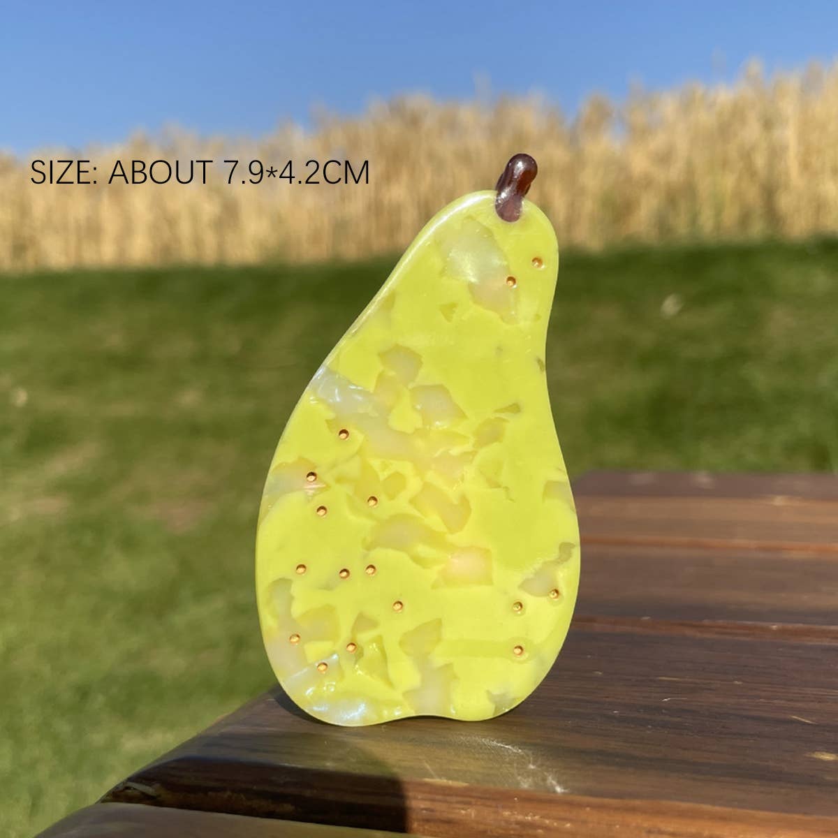 2024 NEW SIMPLE FRUIT GRABBER HAIRPIN_CWAHA0956