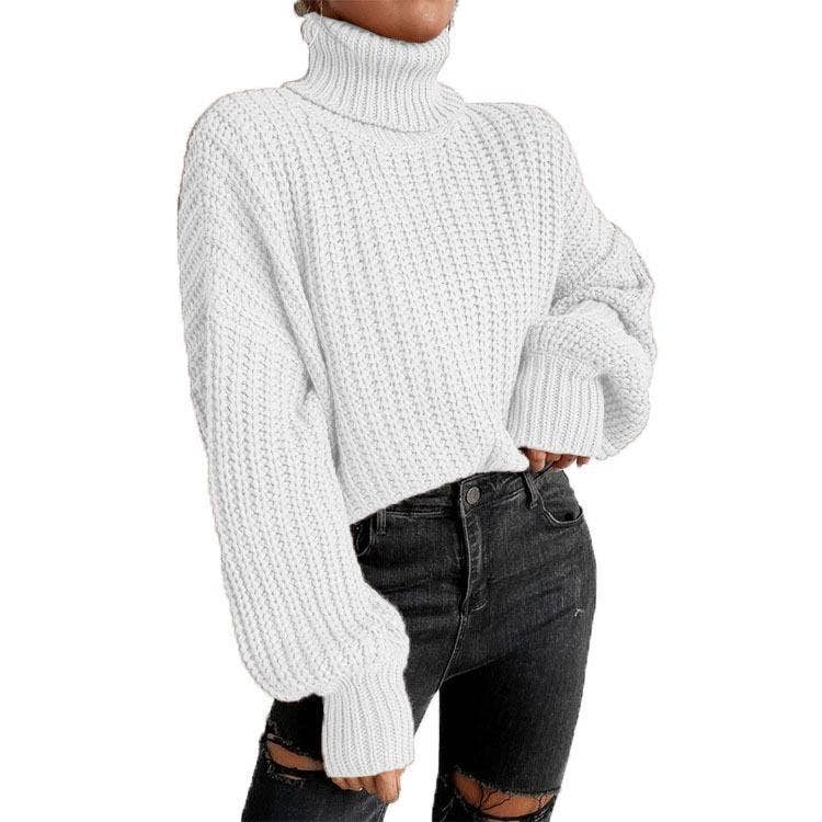 Long-Sleeved Pullover Turtleneck Sweater_Cwoswl3836