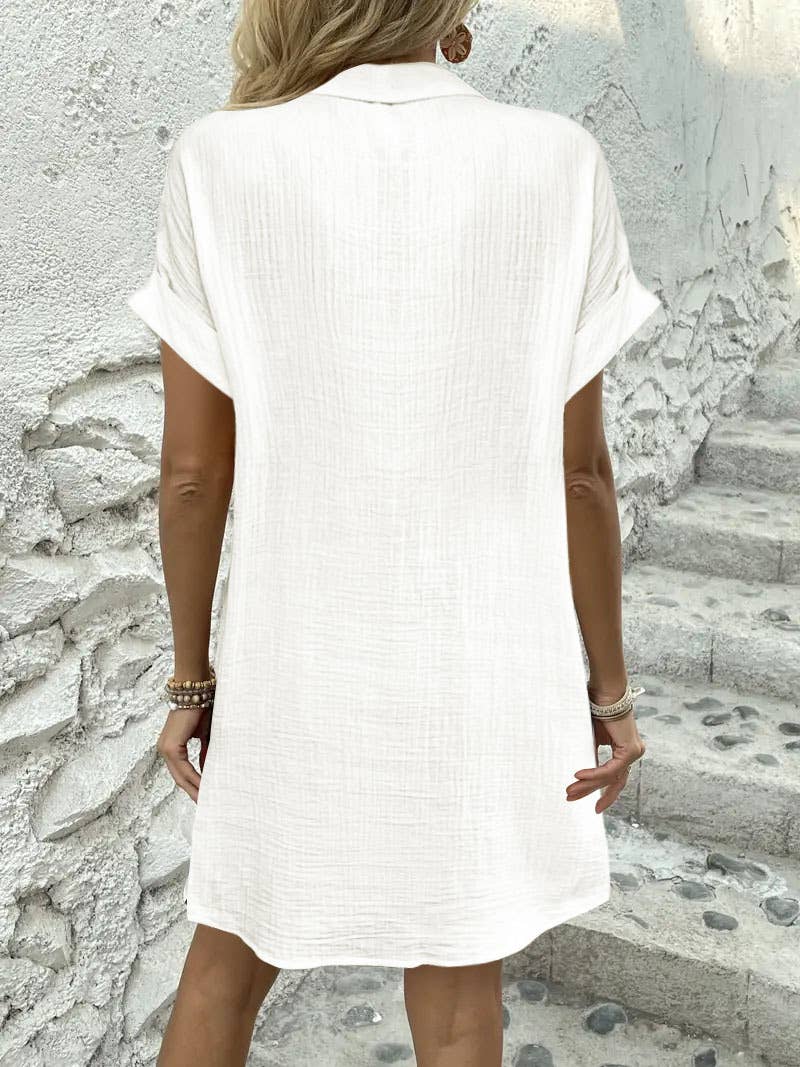 Simple solid-color casual lapel shirt dress