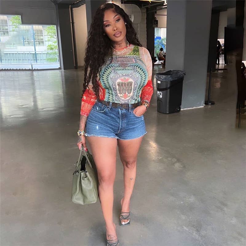 Fashion Print Colorblock Mesh Long Sleeve Top