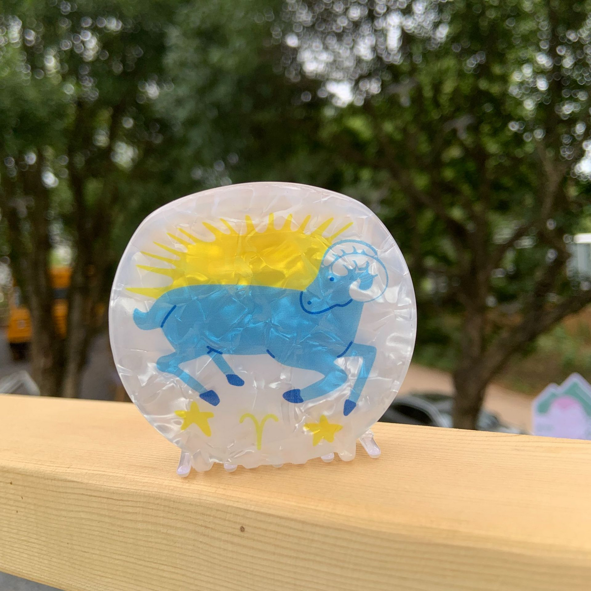 Star Sign Claw Clip ??Acrylic Cute Hair Accessor_CWAHA2141