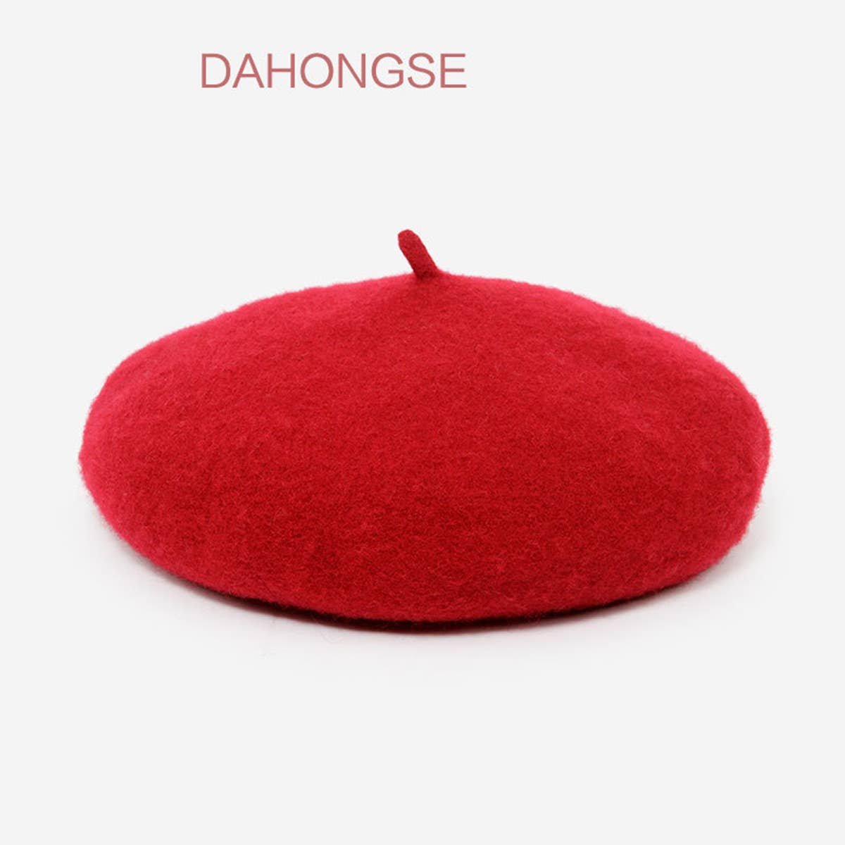 AUTUMN AND WINTER ADULT RETRO BERET_CWAH1924