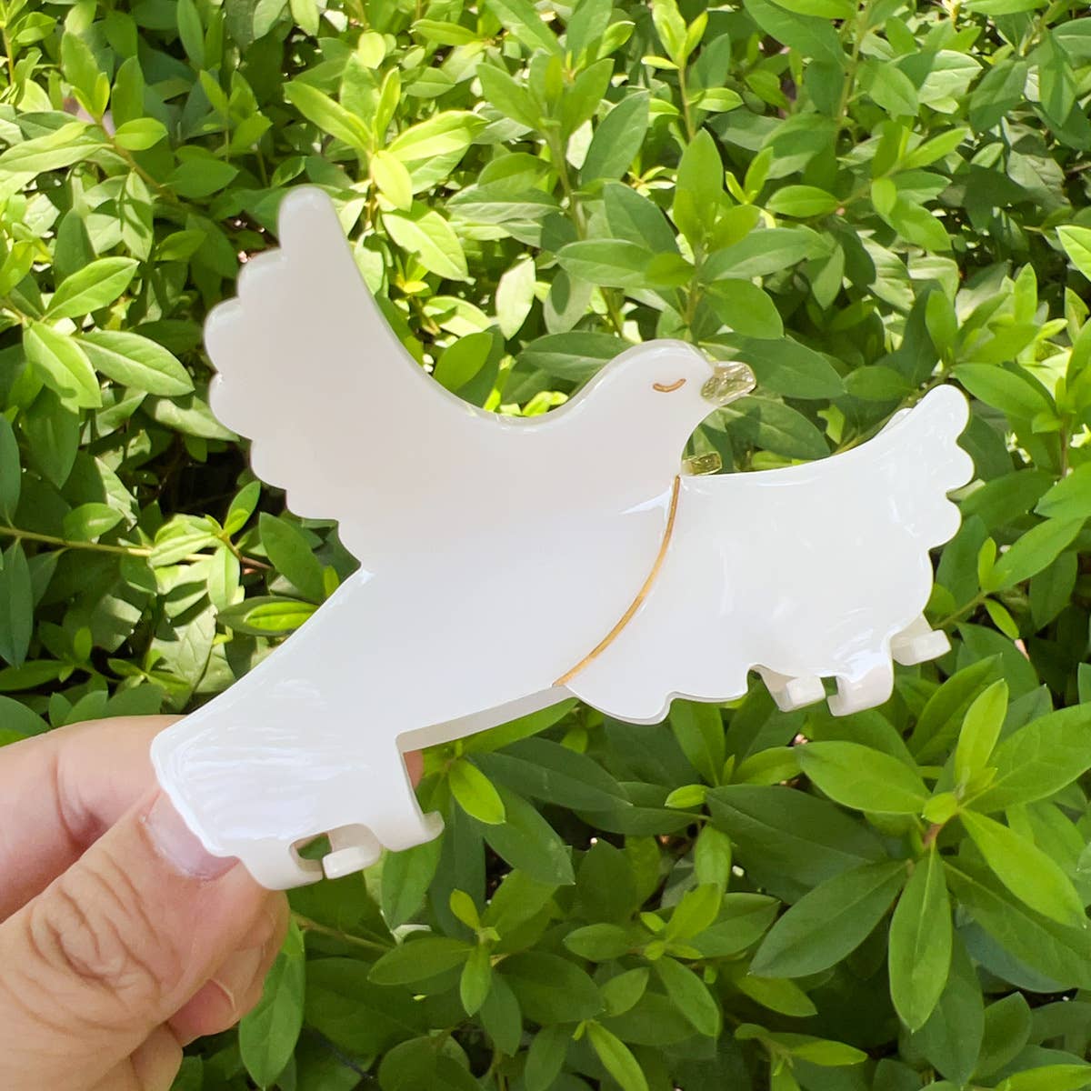 Parake-like acetate board hair clip headwear