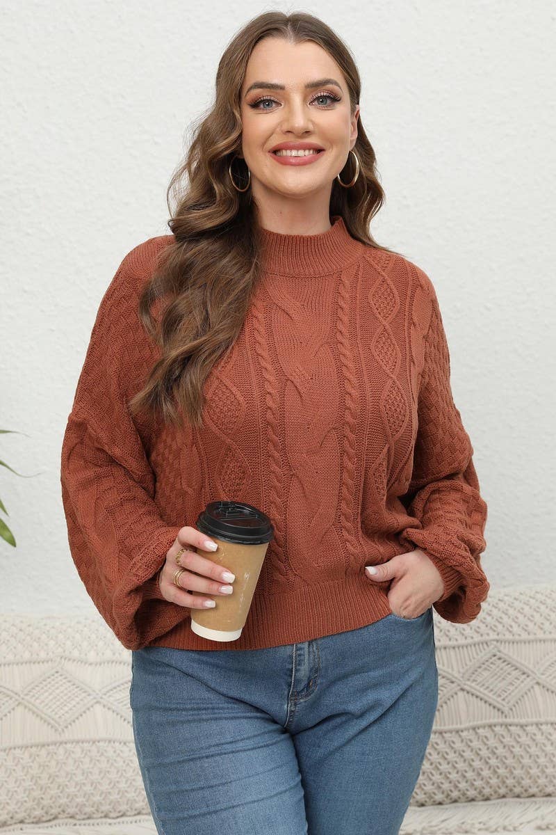CWOSWL1572_PLUS Size Crew Neck Pullover Long Sleeve Sweater