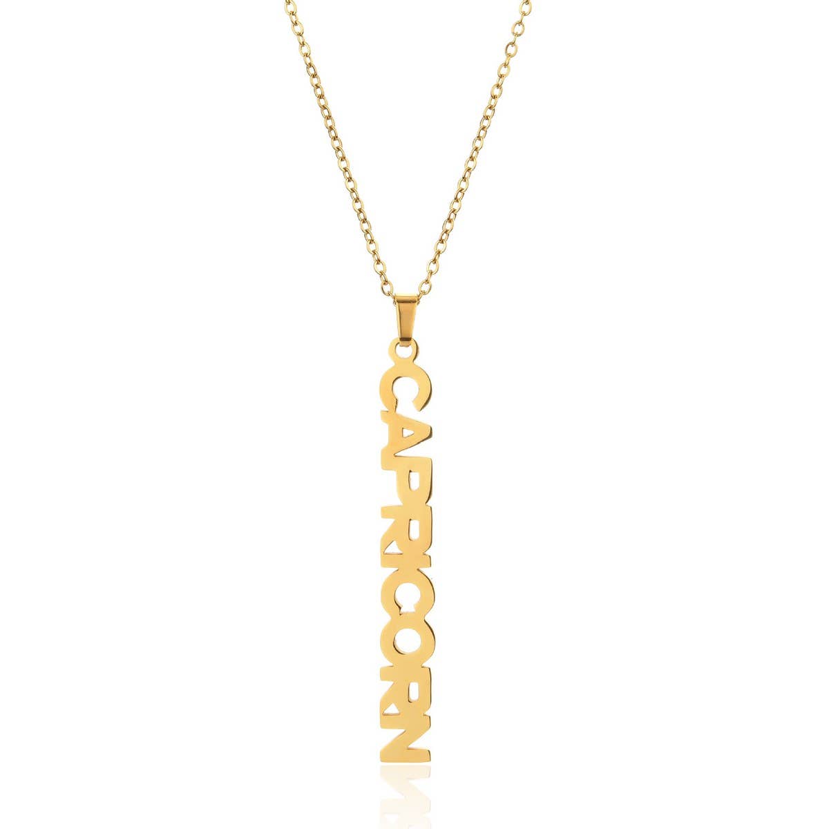 CLAVICLE CHAIN TWELVE ZODIAC TITANIUM NECKLACE